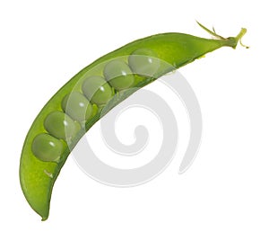 Sugar pea pod with peas isolated on white background