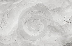 Closeup surface abstract marble pattern at the marble stone for decorate in the garden texture background in black and white tone