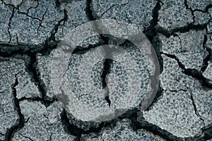 Closeup of a surface of cracked and dry soil