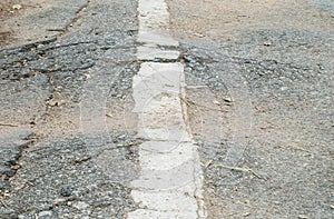 Closeup surface damaged road destroyed by tree roots textured background