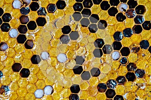 Closeup surface honeycomb with honey bee textured background