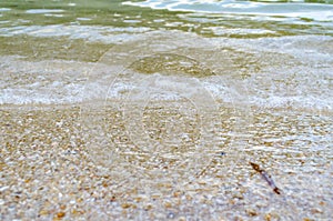 Closeup Surface Ocean Blue Sea Water