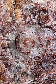 Closeup of the Surface of a Stone