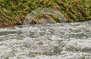 Closeup of surging river after torrential monsoon rains