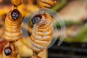 Closeup of Suri insects dish, traditional Peruvian food