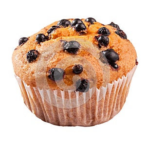 Closeup of blueberry muffin in paper baking cup isolated on white