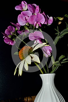 Closeup Sweet Pea White Cone Flower ceramic vase