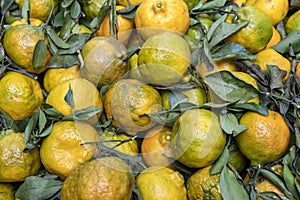 Closeup of tangerine heap