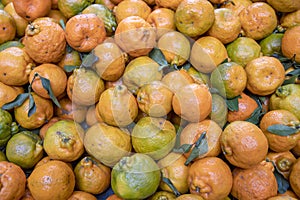Closeup of tangerine heap photo