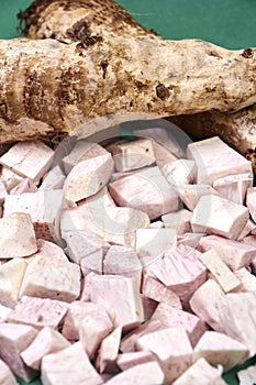 closeup of taro root vegetable, eddo malanga, green background