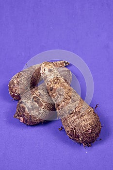 closeup of taro root vegetable, eddo malanga, purple background