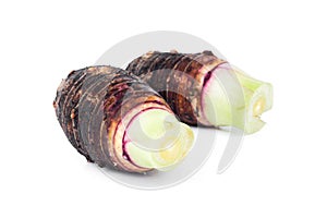 Closeup of taro root on white background