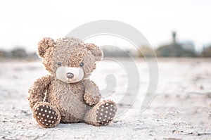 Closeup teddy Bear toy laying  alone in the  ground
