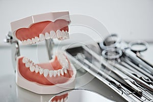 Closeup teeth and jaw model with set of tools in dental clinic