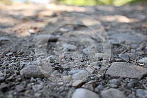 Closeup texture of dirt road with small stones