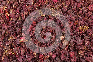 Closeup texture of dried Roselle hibiscus flowers in dark red co