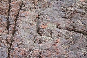 Closeup texture of granite rock