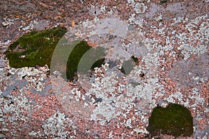 Closeup texture of granite rock