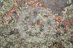 Closeup texture of granite rock