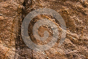 Closeup texture of granite rock