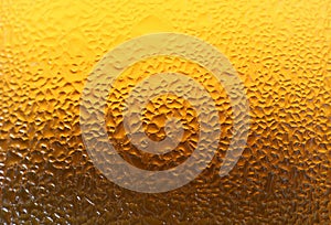Closeup Texture of Water Droplets on Gradient Golden Yellow Lager Beer Glass Bottle