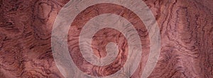 Closeup texture of wooden flooring made of Bubinga Waterfall