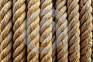 Closeup of thick rough ropes arranged in vertical composition