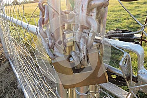 A closeup of a thick silver chain around a steel wired gate with a large bronze padlock