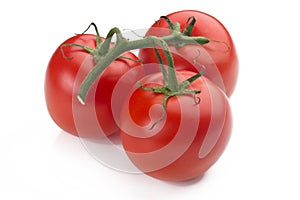 Closeup of three tomatoes with their branch