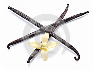 Closeup of Three Vanilla Pods on White Surface