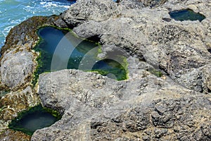 Closeup of a tidepool filled with water in the rocks by the ocean, rimmed with green algae.  The algae appears as a miniature