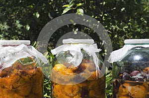 Closeup of tincture with apricots and plums