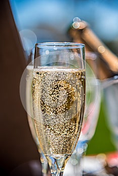 Closeup of tiny champagne bubbles in glass on sunny day