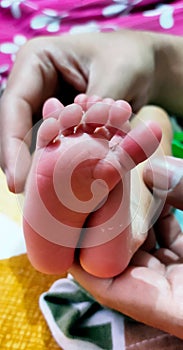 Closeup of Tiny newborn baby feet on female hands