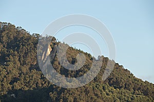 closeup to a bogota easter mountains big rocky cliff with high trees in sunset golden hour