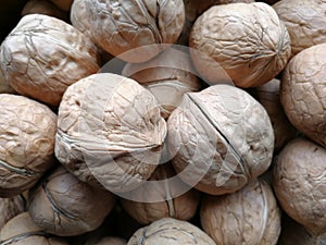 Walnuts Isolated