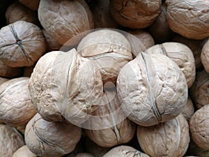 Walnuts Isolated