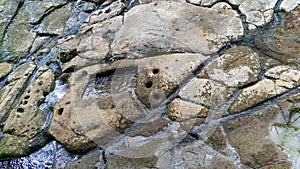 Closeup to a natural waterfont with ancient petroglyphs knowed as `fuente de lavapatas` at Colombian San Agustin archaeological pa photo
