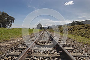 Closeup to an old railroad crossing a green countryfield with a lonely tree