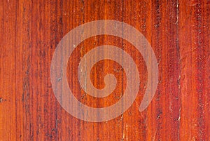 Closeup to Orange Vertical Wood Background/ Texture