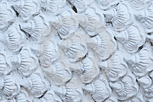 Closeup to Stack of White Scale Background/ Texture