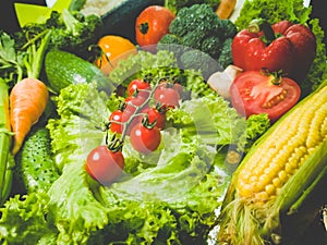 Closeup toned image of big assortment of fresh healhty vegetables. Concept of healthy food and nutrition