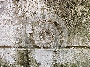 closeup top view, old cement floor, peeling paint, moss and mold