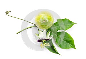 Closeup top view passion fruit flower and leaves on white background