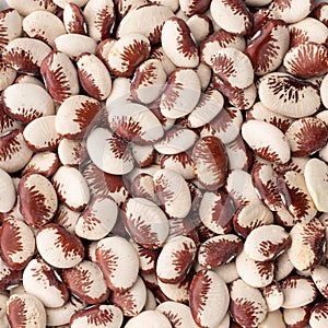 Closeup, top view of red rajado beans. Food backdrop