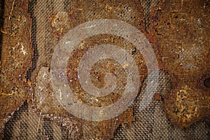 Closeup of a topside of beehive glued with propolis