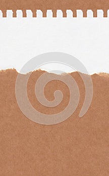 Closeup torn brown paper on grunge white paper texture background. Rip Paper note ,brown paper sheet with space for text ,pattern