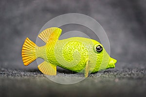 Closeup of a toy figurine of a yellow tang