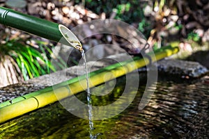 A closeup of a traditional Asian bamboo fountain with water splashing in the pool