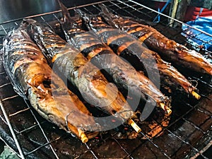 Closeup Traditional Charcoal Roasted, Grilled Catfish on earthen oven, Authentic Thai street food. Favorite side dish with Som Tum